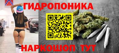 эйфоретик Свободный